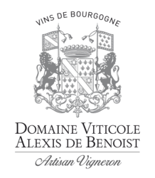 Logo 2b2g Vineyards